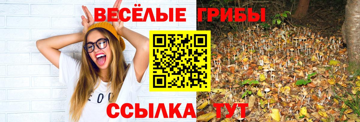 Псилоцибиновые грибы Psilocybe  Псилоцибиновые грибы GOLDEN TEACHER  Вход с VPN  магазин    Советская Гавань 